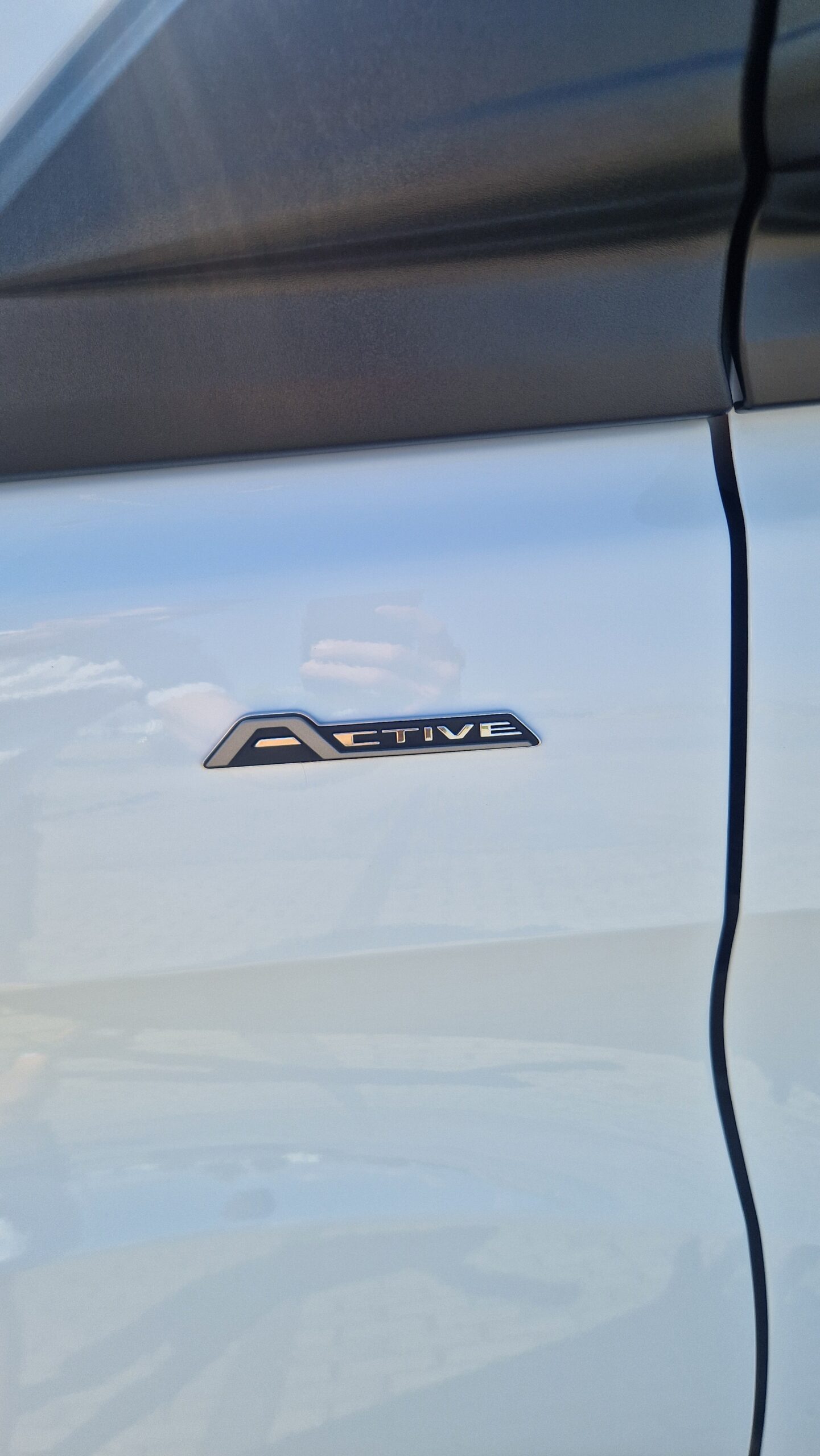 FORD TURNEO CUSTOM LONG