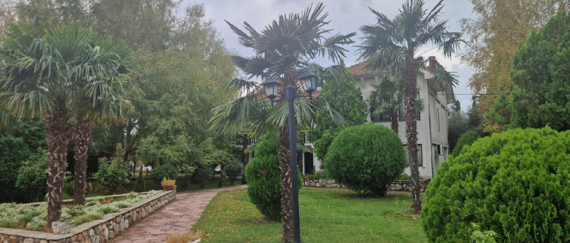 Nasza wyjątkowa podróż do Macedonii 🇲🇰🚐