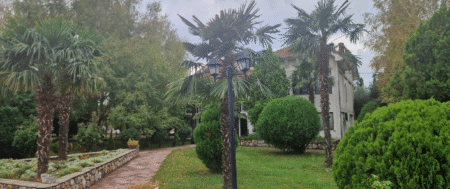 Nasza wyjątkowa podróż do Macedonii 🇲🇰🚐